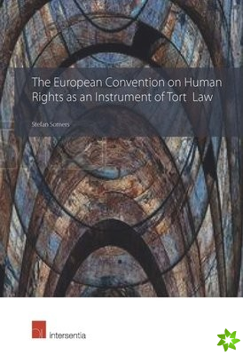 European Convention on Human Rights as an Instrument of Tort Law