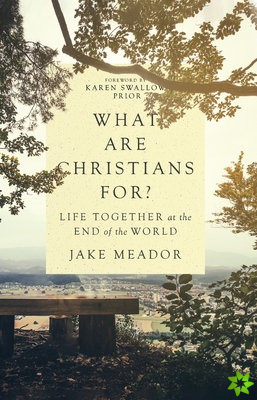 What Are Christians For?  Life Together at the End of the World
