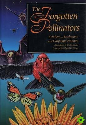 Forgotten Pollinators