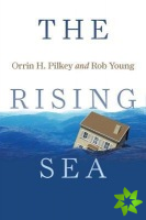 Rising Sea