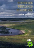Statewide Wetlands Strategies