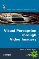 Visual Perception Through Video Imagery