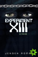 Experiment XIII