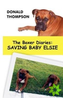 Boxer Diaries