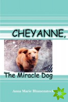 Cheyanne, the Miracle Dog