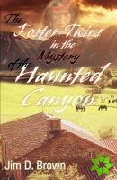 Foster Twins in the Mystery of the Haunted Canyon