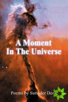 Moment in the Universe