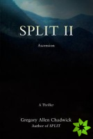 Split II