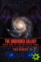 Undivided Galaxy