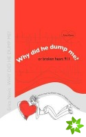 Why Did He Dump Me? or Broken Heart 911