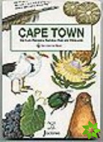Discover the Magic - Cape Town