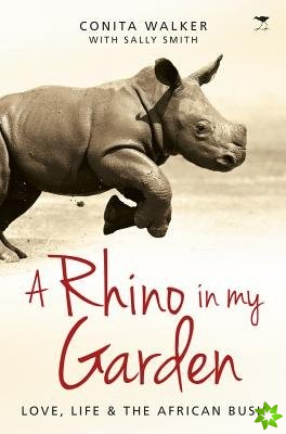 rhino in my garden