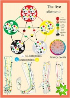Five Elements in Acupuncture -- A4