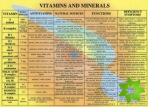 Vitamins & Minerals -- A4