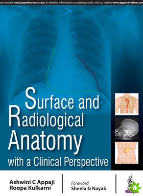 Surface and Radiological Anatomy with a Clinical Perspective
