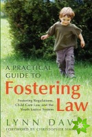Practical Guide to Fostering Law