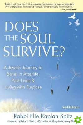 Does the Soul Survive?