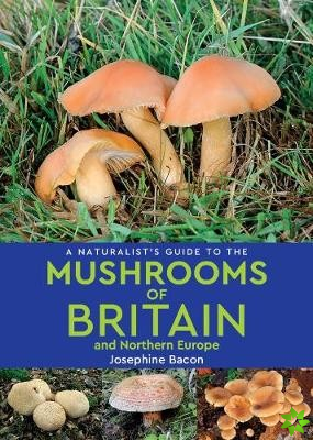 Naturalist's Guide to the Mushrooms of Britain and Northern Europe (2nd edition)