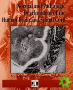 Normal & Pathologic Development of the Human Brain & Spinal Cord