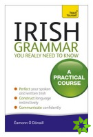 Irish Grammar You Really Need to Know: Teach Yourself