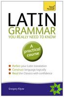 Latin Grammar You Really Need to Know: Teach Yourself