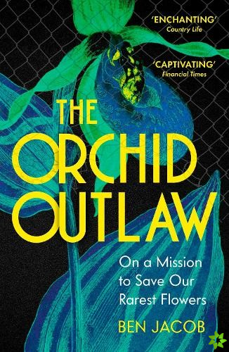 Orchid Outlaw