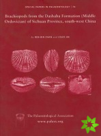 Special Papers in Palaeontology, Brachiopods from the Dashaba Formation (Middle Ordovician) of Sichuan Province, south-west China