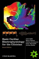 Basic Cardiac Electrophysiology for the Clinician