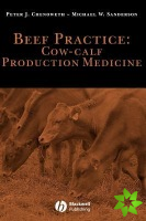 Beef Practice