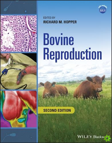 Bovine Reproduction