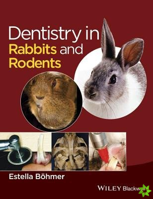 Dentistry in Rabbits and Rodents