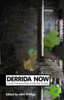 Derrida Now