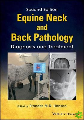Equine Neck and Back Pathology