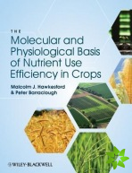 Molecular and Physiological Basis of Nutrient Use Efficiency in Crops