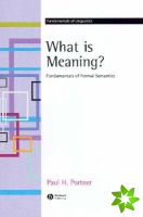 What is Meaning?