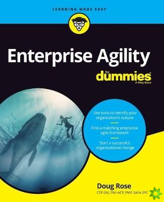 Enterprise Agility For Dummies