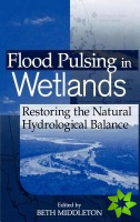 Flood Pulsing in Wetlands