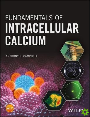 Fundamentals of Intracellular Calcium