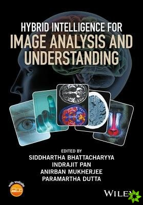 Hybrid Intelligence for Image Analysis and Understanding
