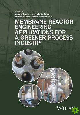 Membrane Reactor Engineering
