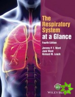 Respiratory System at a Glance, 4e