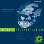 Virtual Reconstruction