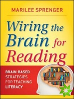 Wiring the Brain for Reading