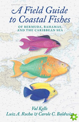 Field Guide to Coastal Fishes of Bermuda, Bahamas, and the Caribbean Sea