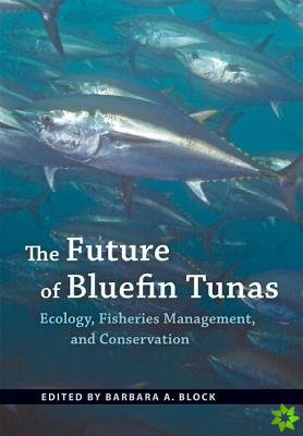 Future of Bluefin Tunas