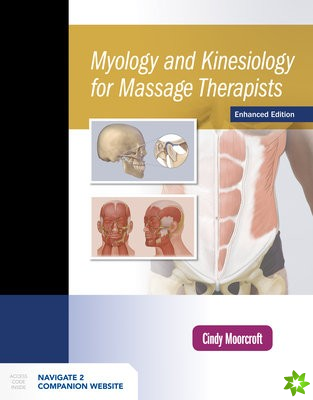 Myology And Kinesiology For Massage Therapists