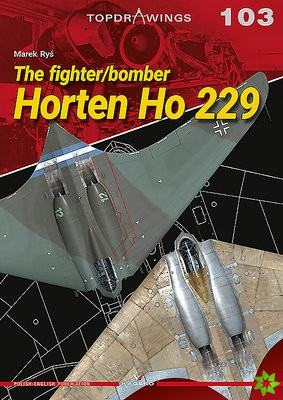 Fighter/Bomber Horten Ho 229