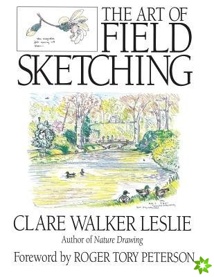 Art of Field Sketching