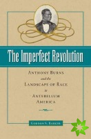 Imperfect Revolution