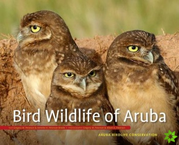 Bird Wildlife of Aruba